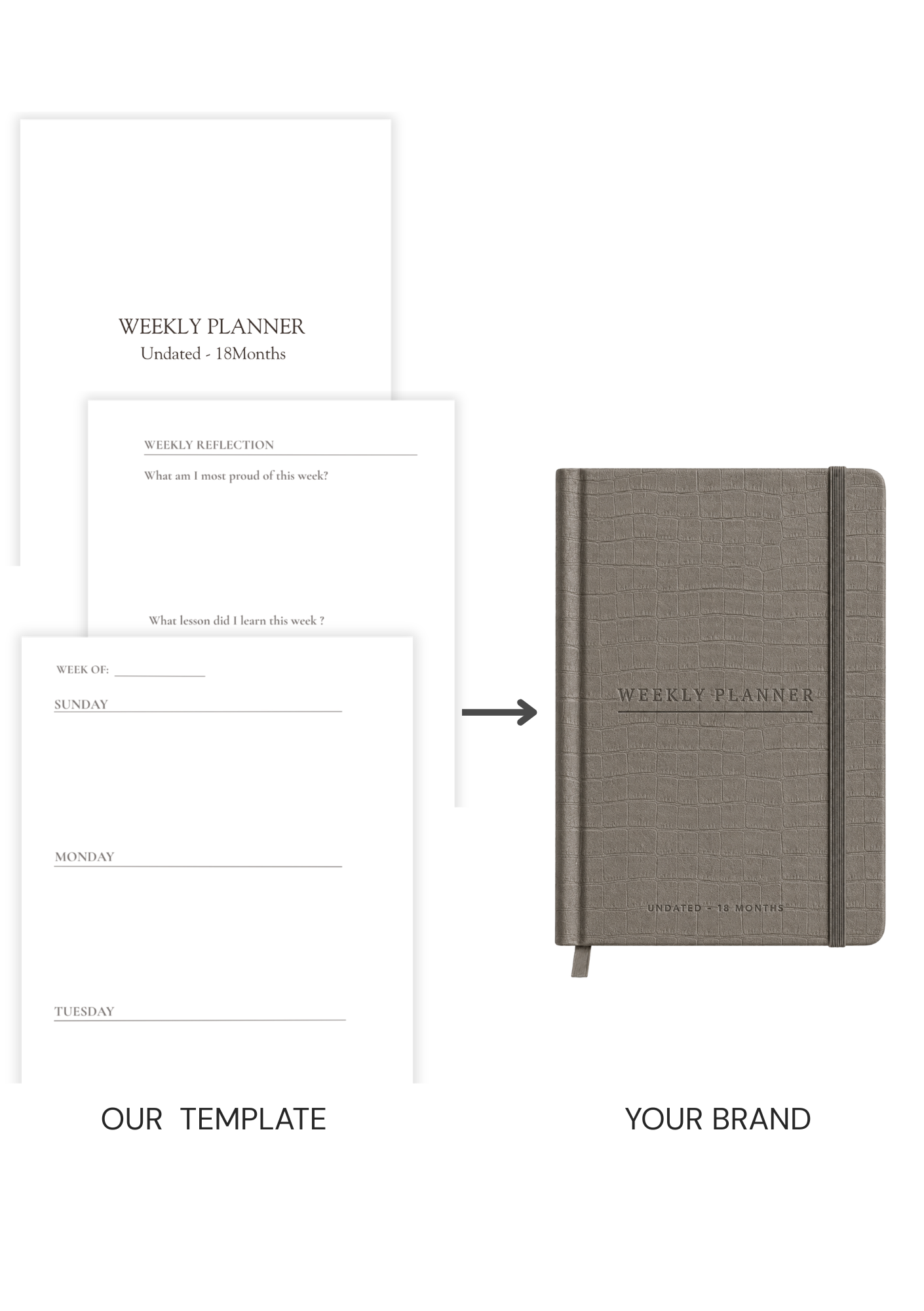 Weekly Planner Undated (18 Months) Book Template