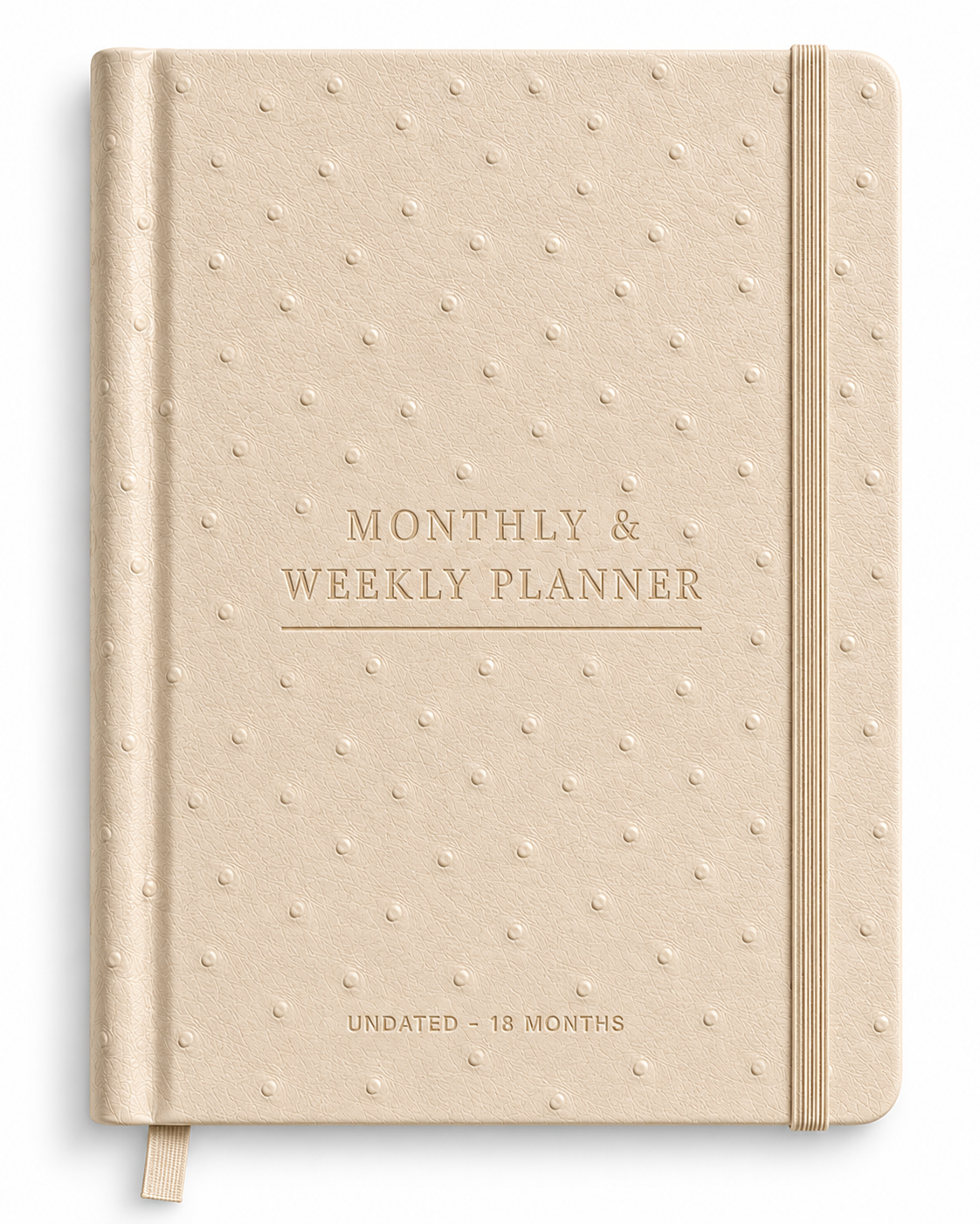 Monthly & Weekly Planner Undated (18 Month) Book Template